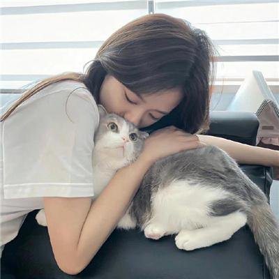 怪兽与邓不利多的秘密